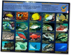 fun explorers philippines meouchy francis le guen