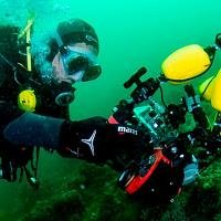 macropodia